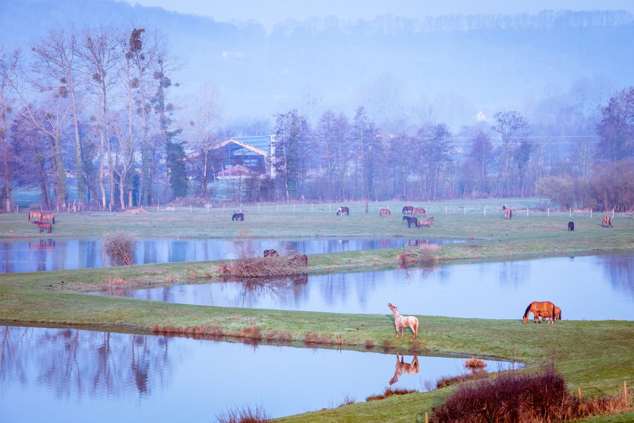 Domaine AbracadaRoom : Domaine du Lieu Dieu - Image 16