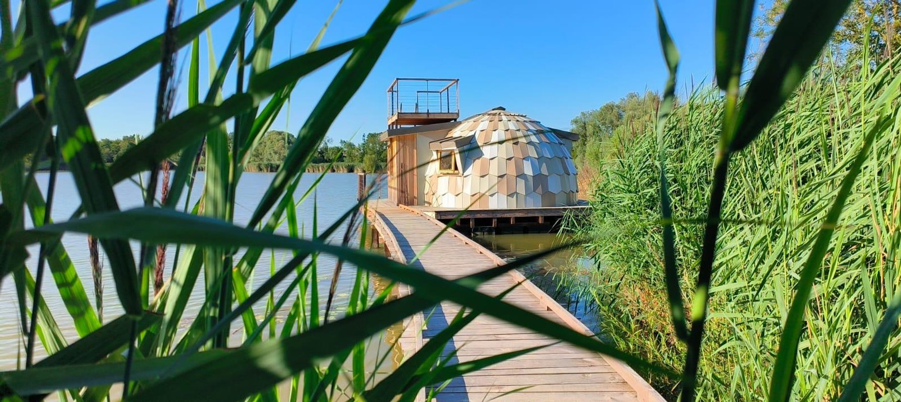 Cabane Spa les Flots 4 pers à Bâgé-Dommartin (4)