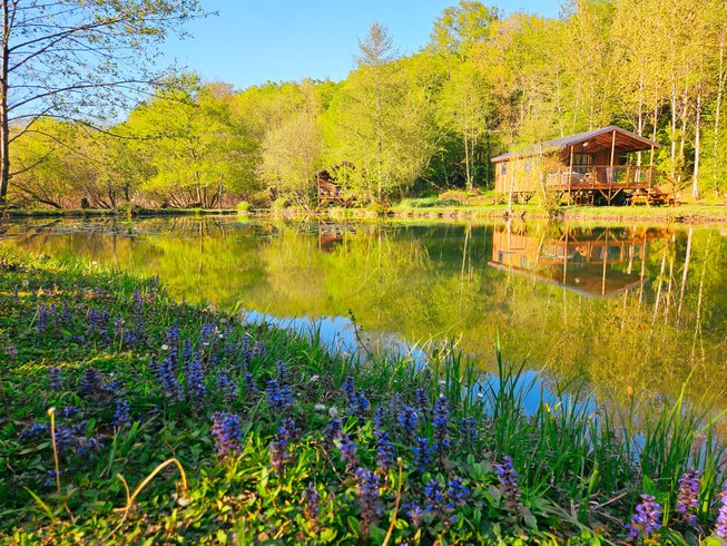 Hébergement AbracadaRoom : Lodge sur pilotis, étang privé, nature et biodiversité à Sarlat - Image 23