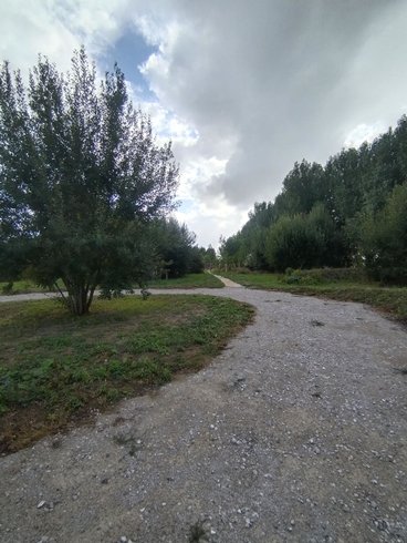 Hébergement AbracadaRoom : Le Dôme de Draëck & Sauna privatif - Image 17