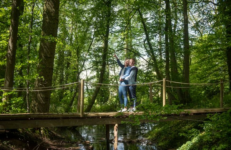 Hébergement AbracadaRoom : La roulotte "Dentelles et enchantements" - Image 12