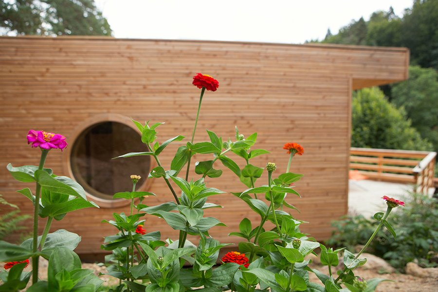 Hébergement AbracadaRoom : Le Chalet GAIA - Image 8