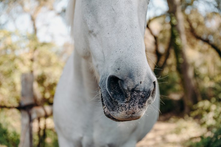 Domaine AbracadaRoom : Domaine de Biar - Image 40