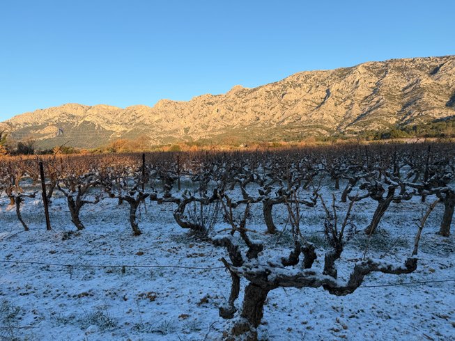 Hébergement AbracadaRoom : Vue panoramique  sur la Sainte-Victoire et bain nordique - Image 16