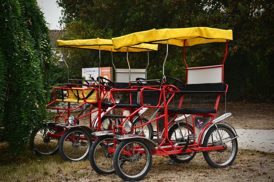 Domaine AbracadaRoom : Parc Du Coq à l'Âne - Image 6