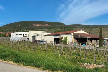 L'Inattendue à Gueberschwihr (2)