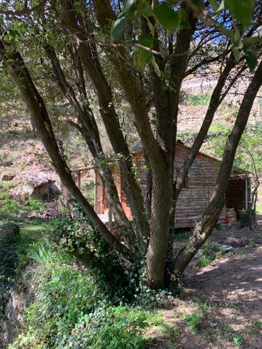 Hébergement AbracadaRoom : Ermitage - Image 3