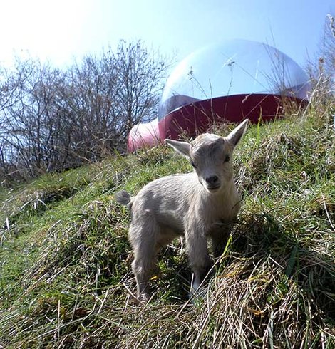 Domaine AbracadaRoom : Nuits D'y Cîmes - Image 9