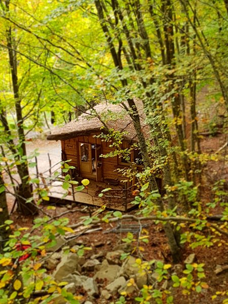 Cabanes enchantées