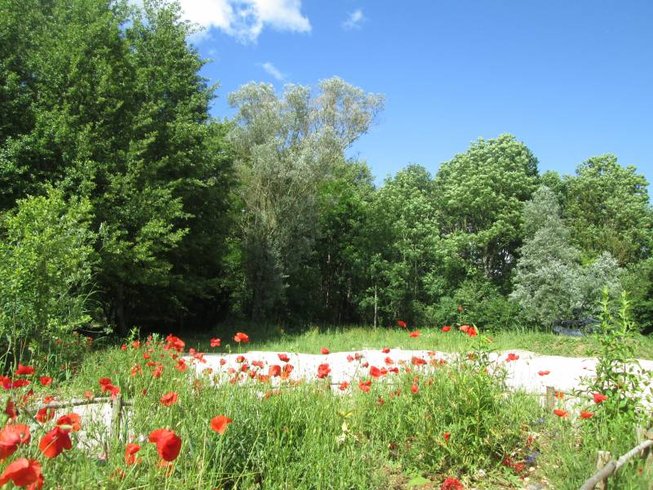 Domaine AbracadaRoom : Fuste des Garceaux - Image 7