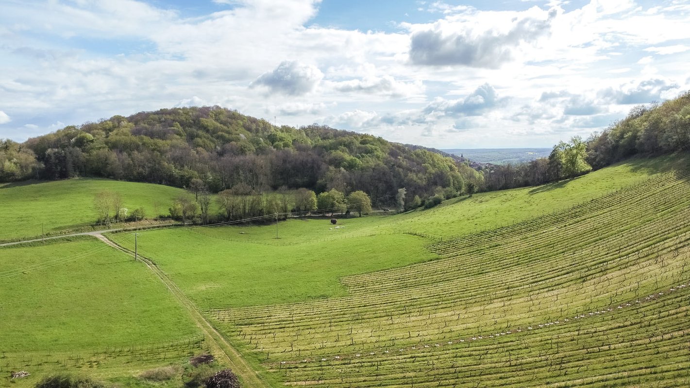 Parcel Tiny House - montagnes et vignes dans l'AOC du Bugey à Revonnas (13)