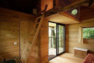 Cabane dans les arbres Marne