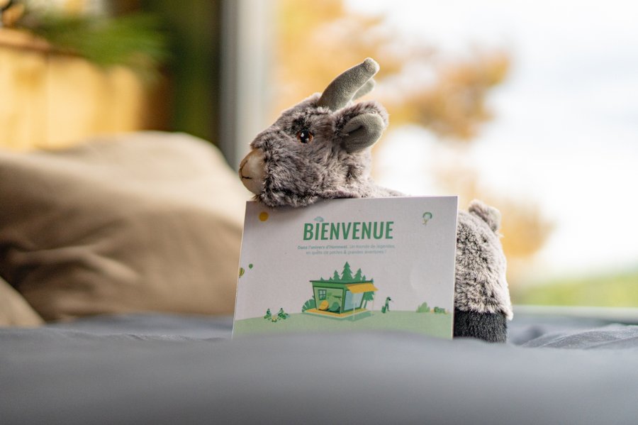 Hébergement AbracadaRoom : Guettée des Alpes - Cité Médiévale, Allos & Verdon - Image 27