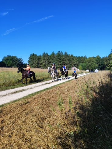 Domaine AbracadaRoom : Le Domaine des Anges - Image 11