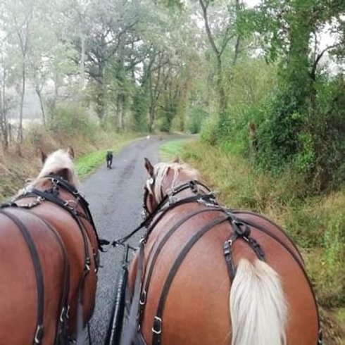 Hébergement AbracadaRoom : TIPI SIOUX - Image 10