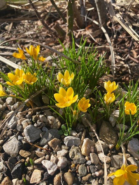 Hébergement AbracadaRoom : La Cabane Aéloria & Spa - Image 38
