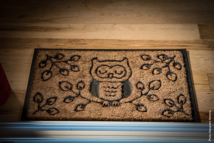 entrée-cabane dans les arbres-séjour insolite en famille-centre-abracadaroom