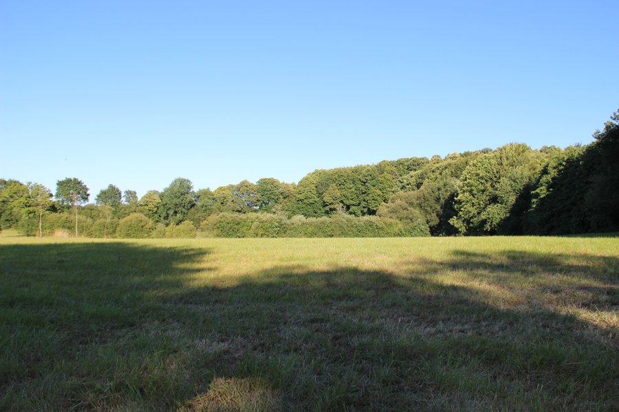 Domaine AbracadaRoom : Le Domaine des Roches' L - Image 4