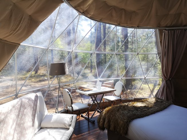 Hébergement AbracadaRoom : Bulle Suite des Chênes - Image 2