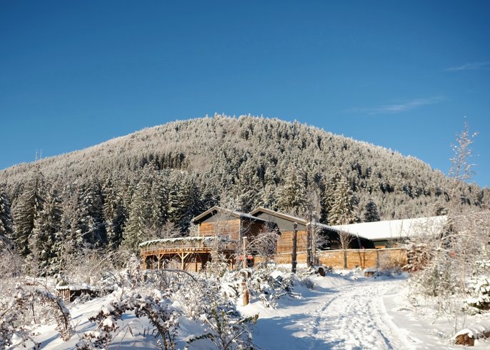Domaine AbracadaRoom : Nutchel Forest Village Alsace - Image 13