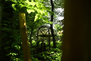 Ô Pays des bois