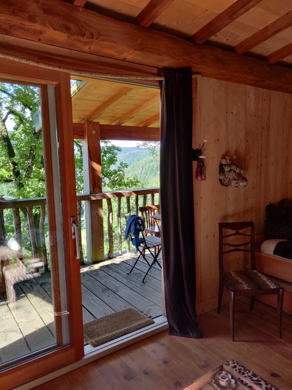 Cabane  Chataignier à Singles (3)