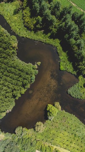 Domaine AbracadaRoom : Parcel Tiny House - en Picardie proche Lille et Paris - Image 17