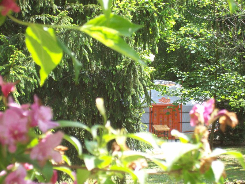 facade_vue_de_loin_lila_vendee_yourte