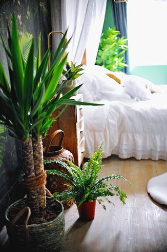 Hébergement AbracadaRoom : Évasion romantique au coeur de l'Amazonie, SPA, CINÉMA PRIVÉ, 5 min centre - Image 12