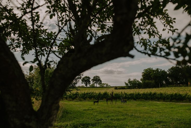 Hébergement AbracadaRoom : Villa Hakuna Matata - Image 23