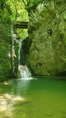Domaine AbracadaRoom : Roulotte du Jura Vert - Image 6