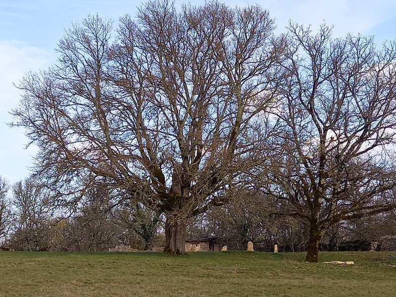 Domaine AbracadaRoom : Domaine de la Pierre Sèche - Image 9