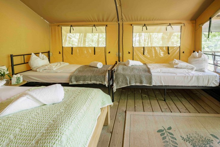 Hébergement AbracadaRoom : Shimoni, dans les bois - Image 10