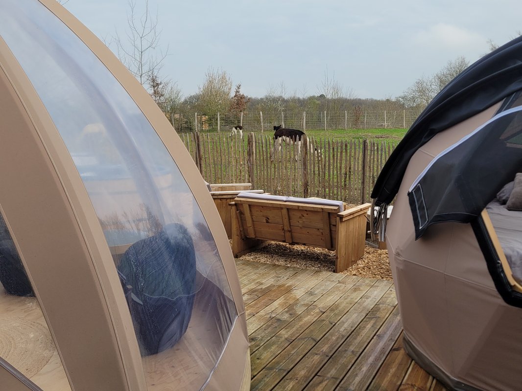 Bulle de nature famille & Spa à Tuffalun (9)