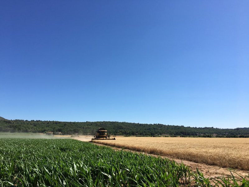 Hébergement AbracadaRoom : Le Pod de l'Adret - Image 10