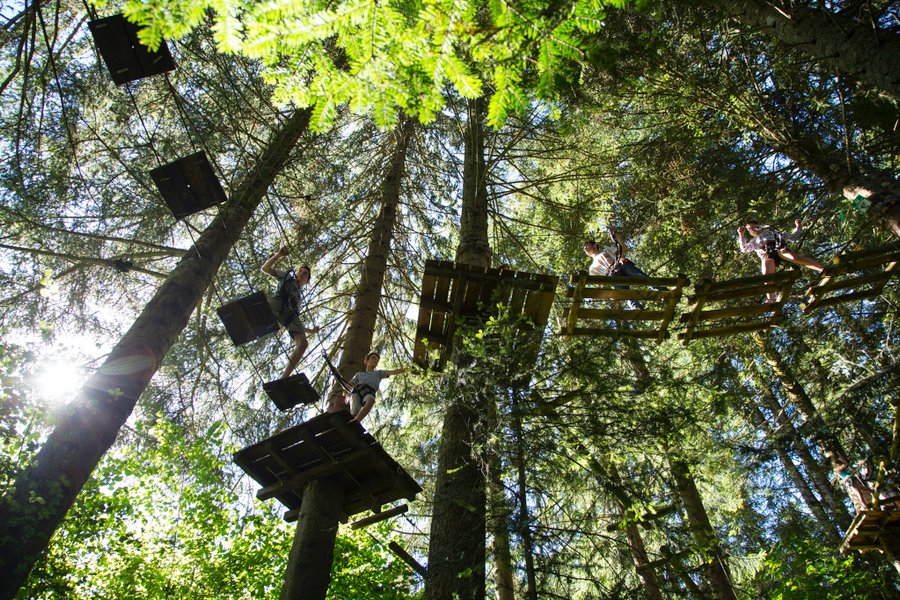 Domaine AbracadaRoom : The Wedge - Image 5