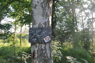 LE NID DANS LES BRUYERES