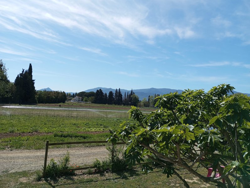 Hébergement AbracadaRoom : La Roulotte Spa Gitane - Image 25