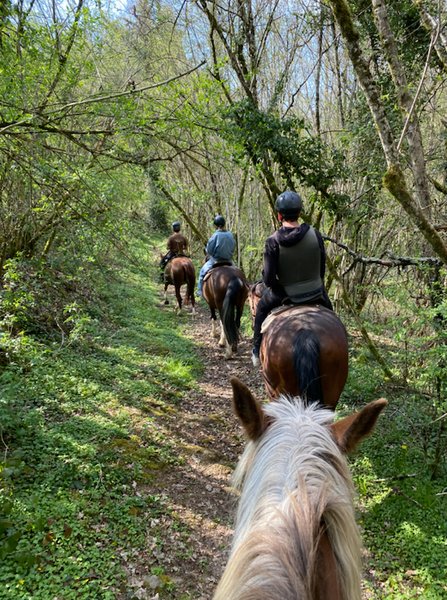 Domaine AbracadaRoom : Centre Equestre de la Vallée - Image 4