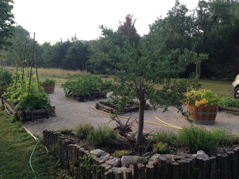 Domaine AbracadaRoom : Lac Appaloosa - Image 20