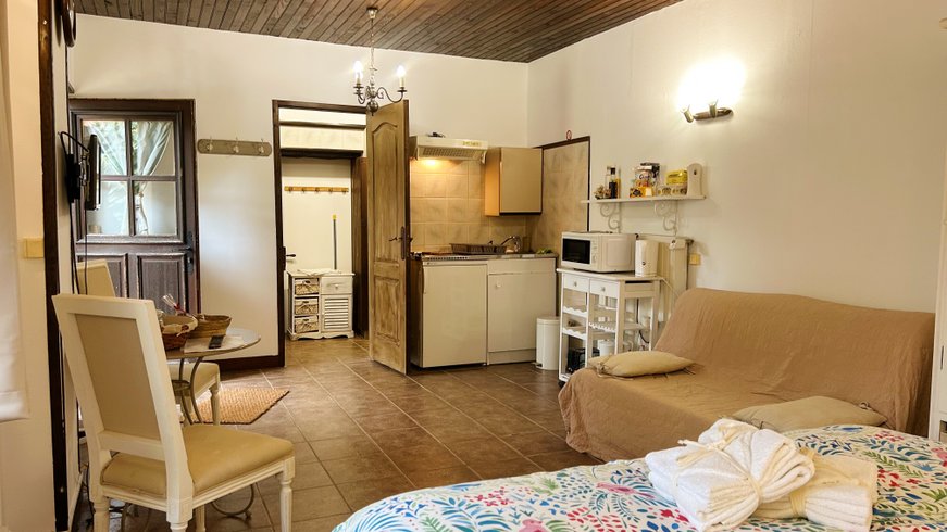 Hébergement AbracadaRoom : Studio Châtaigne - Image 3