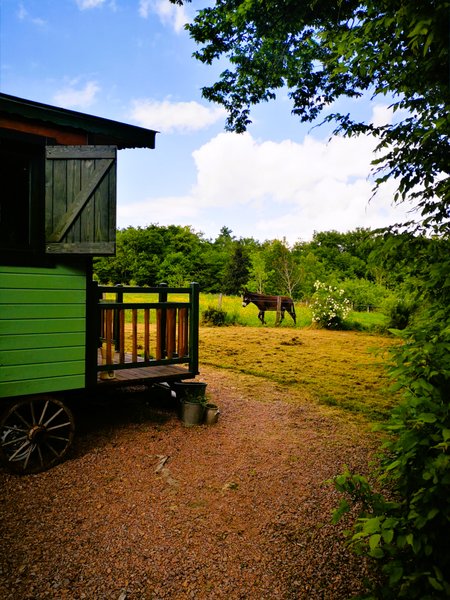 Domaine AbracadaRoom : Roulotte et Forêt : Evasion bohème en Bourgogne - Image 20