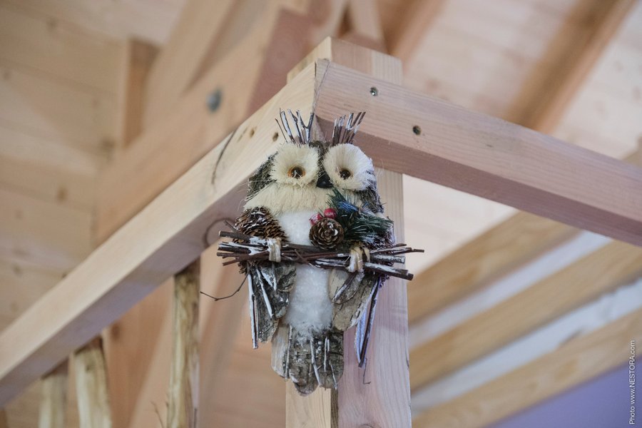 Hébergement AbracadaRoom : La Cabane du Grand Chêne & Spa - Image 29