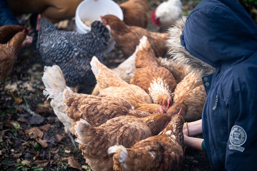 Domaine AbracadaRoom : Family Ecolodge - Image 14