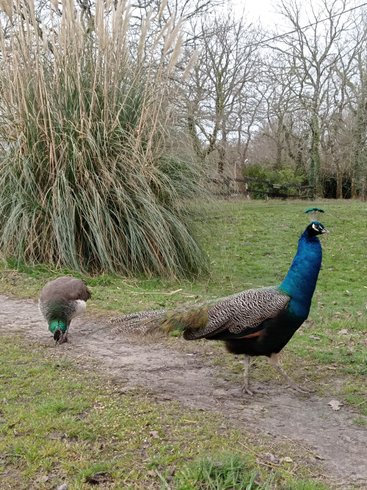 Domaine AbracadaRoom : Le Ranch Amadeus - Image 18