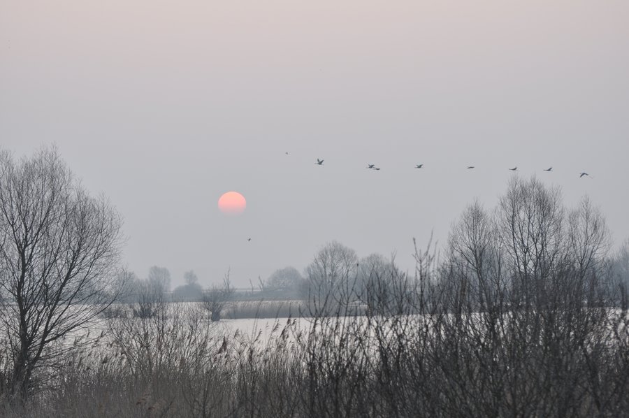 Domaine AbracadaRoom : Au Milieu de Nulle Part - Image 12