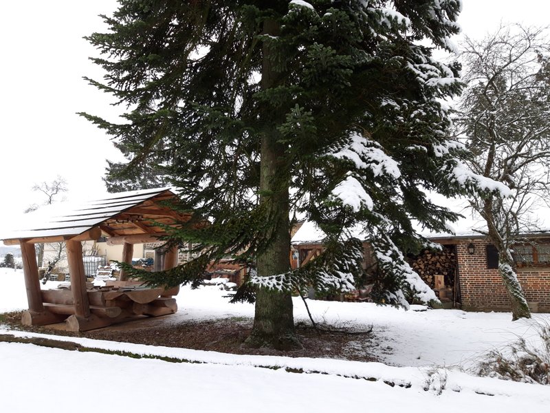 Domaine AbracadaRoom : Othentic'Natur - Image 7