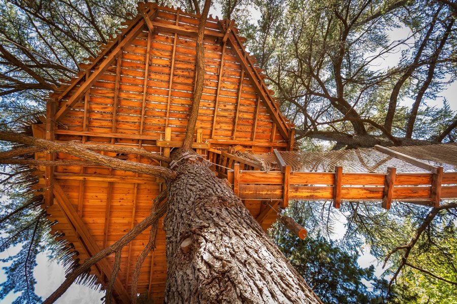 Hébergement AbracadaRoom : Grand duc - Image 10