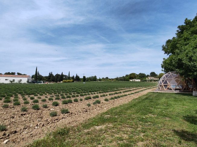 Domaine AbracadaRoom : Bulle du Lavandin - Image 15