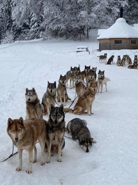 Domaine AbracadaRoom : Esprit du Nord - Image 32